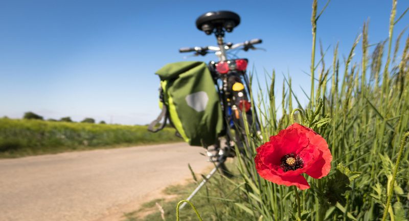 Wenn das Bike mitten auf der Urlaubsreise schlapp macht, ist schnelle Hilfe gefragt. Mit einem Fahrradschutzbrief kann man sich für solche Notsituation wappnen. (Foto: Didgeman/Pixabay)